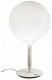 Интерьерная настольная лампа Artemide Castore 1049010A. 