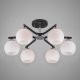 Потолочная люстра Eurosvet Blasco 30145/6. 