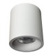 Потолочный светильник Arte Lamp Ugello A3124PL-1WH. 