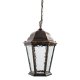 Уличный светильник подвесной Arte Lamp Genova A1205SO-1BN. 