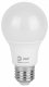 Лампа светодиодная ЭРА E27 10W 4000K матовая LED A60-10W-840-E27 R Б0049635 . 