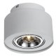 Потолочный светильник Arte Lamp Cliff A5643PL-1WH. 