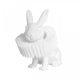 Ночник Loft IT Bunny 10117/B. 