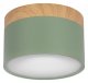 Накладной светодиодный светильник Loft IT Grape 10162 Green. 