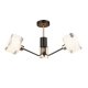 Потолочная люстра Seven Fires Бавено 66221.01.69.03. 