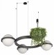 Подвесной светильник Loft IT Jardin 10121/3 Dark grey. 