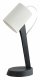 Настольная лампа офисная Lussole Union LSP-0673. 