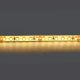 Светодиодная лента Lightstar 421003. 