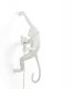 Бра Monkey Lamp 14879. 