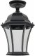 Потолочный светильник уличный Oasis Light ASTORIA 1 L 91305LA Bl. 