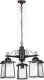 Уличный светильник подвесной Oasis Light FRANKFURT I 27370Cl 3 02 Bl. 