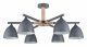 Потолочная люстра Lumion Colange 8096/6C. 