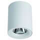 Потолочный светильник Arte Lamp Facile A5130PL-1WH. 