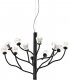 Подвесная люстра DeLight Collection P0550 P0550-12A black. 