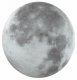 Настенно-потолочный светильник Sonex Moon 3084/CLN. 