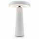 Интерьерная настольная лампа Freya Mushroom FR6109TL-L4W. 