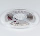 Лента светодиодная DesignLed DSG3120 00-00000525. 