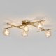 Потолочная люстра Eurosvet Liana 502001/5. 