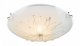 Настенно-потолочный светильник Globo Calimero I 40402-1. 
