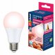 Лампа светодиодная Uniel диммируемая для птиц E27 9W LED-A60-9W/SCEP/E27/FR/DIM IP65 PLO65WH. 