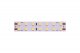 Светодиодная лента DesignLed LUX DSG2196-24-NW-33. 