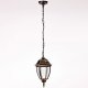 Уличный светильник подвесной Oasis Light 91205S Gb. 