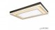 Потолочный светильник iLedex Summery B6317-226W/930*630 WH. 