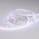 Светодиодная лента Arlight RT 026834. 
