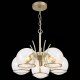 Подвесная люстра EVOLUCE Rescheza SL1136.203.05. 