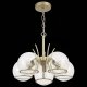 Подвесная люстра EVOLUCE Rescheza SL1136.203.05. 