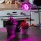 Лампочка светодиодная Uniel LED-A60-8W/SPSB/E27/CL PLP30GR. 