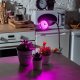 Лампочка светодиодная Uniel LED-A60-8W/SPSB/E27/CL PLP30GR. 