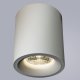 Потолочный светильник Arte Lamp Ugello A3124PL-1WH. 