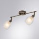 Спот Arte Lamp Biham A3184PL-2AB. 