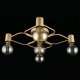 Потолочная люстра Aployt Elison APL.911.07.05. 
