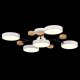 Потолочная люстра EVOLUCE Faema SLE6006-502-05. 