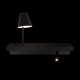 Настенный светильник Loft IT Shelf 10216/2W Black. 