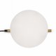 Интерьерная настольная лампа Freya Blossom FR5259TL-01BS. 