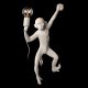 Настенный светильник Loft IT Monkey 10314W/A. 