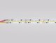 Лента светодиодная Ambrella Light GS GS4151. 