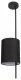 Потолочная люстра Loft IT Ritz 10253P Black. 