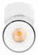 Спот Loft IT Focus 10323/A White. 