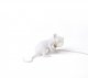 Интерьерная настольная лампа Seletti Mouse Lamp 15222. 