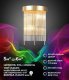 Бра Lumien Hall Dzhozu LH0063/2W-GD-CL. 