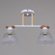 Потолочная люстра Reluce 01630-0.3-02 WH+WOOD. 