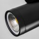 Точечный светильник Lightstar Rullo 213407. 