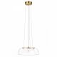 Подвесной светильник Loft IT Tinkerbell 10428/C. 