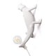 Настенный светильник Seletti Chameleon Lamp 15092. 