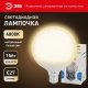 Лампа светодиодная Эра Стандарт E27 15Вт 4000K LED G95-15W-4000K-E27. 