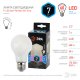Лампочка светодиодная филаментная F-LED A60-7W-840-E27 frost F-LED A60-7W-840-E27 frost. 